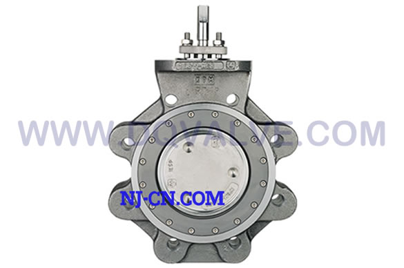 800系列高性能法兰蝶...